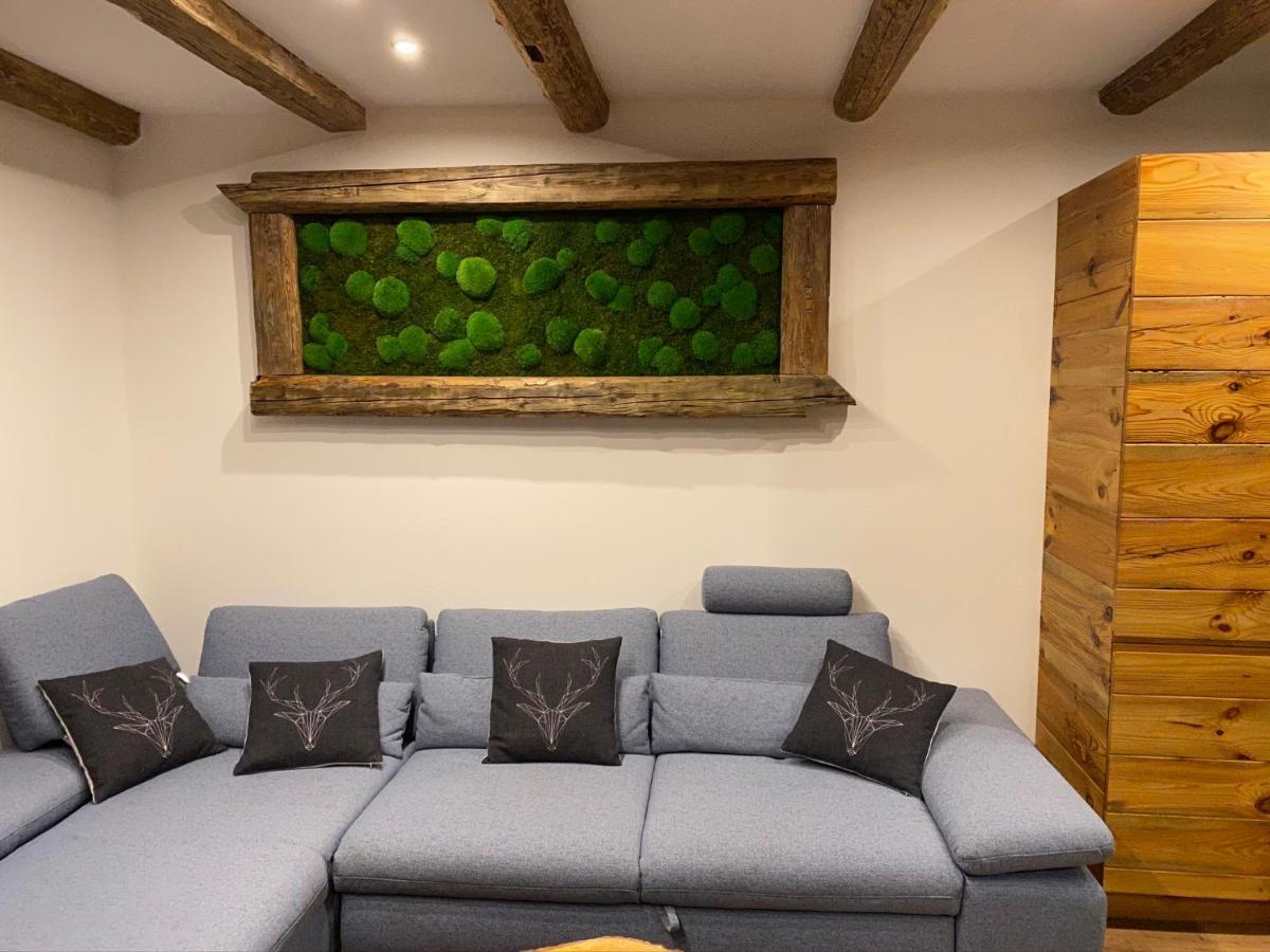 Železná Ruda Chalet Apartments Mastal מראה חיצוני תמונה